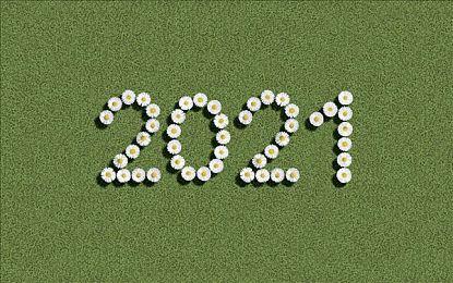 亚马逊曝光《仁王3》发售日定价 2026年2月6日多平台发售